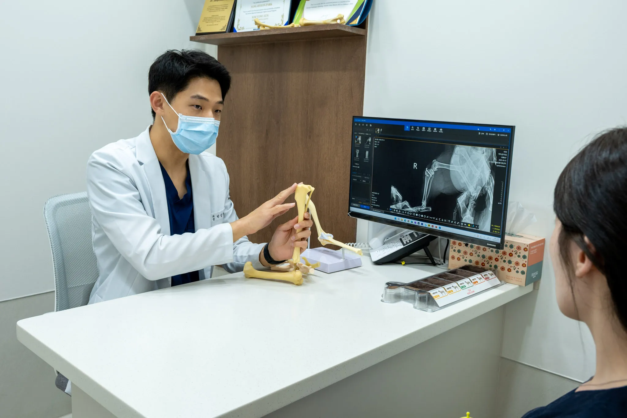동물병원 CT
